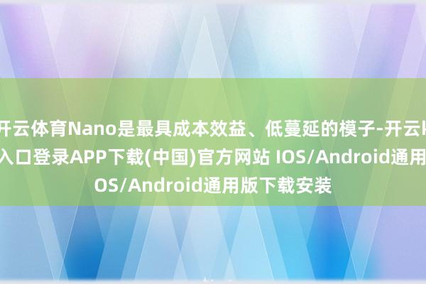 开云体育Nano是最具成本效益、低蔓延的模子-开云kaiyu