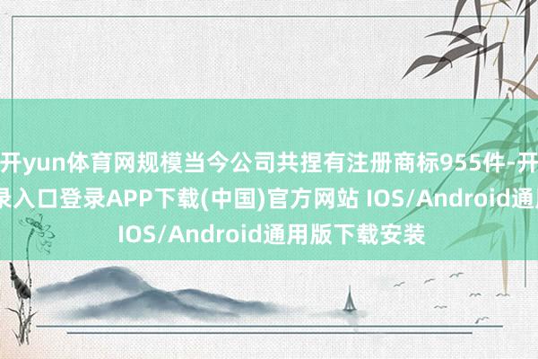 开yun体育网规模当今公司共捏有注册商标955件-开云kaiyun登录入口登录APP下载(中国)官方网站 IOS/Android通用版下载安装