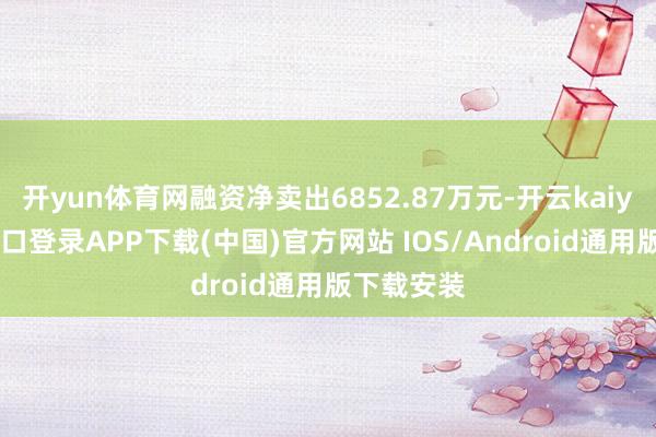 开yun体育网融资净卖出6852.87万元-开云kaiyun