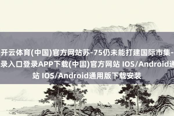 开云体育(中国)官方网站苏-75仍未能打建国际市集-开云kaiyun登录入口登录APP下载(中国)官方网站 IOS/Android通用版下载安装