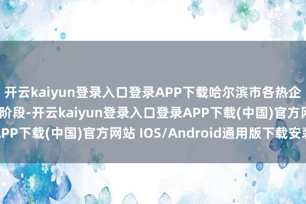 开云kaiyun登录入口登录APP下载哈尔滨市各热企将插足开采智力考研阶段-开云kaiyun登录入口登录APP下载(中国)官方网站 IOS/Android通用版下载安装